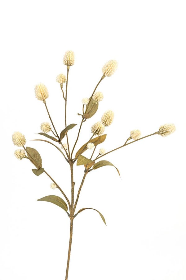 Distel Creme