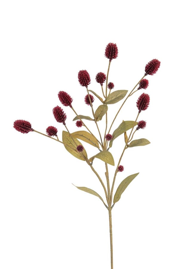 Distel Burgundy