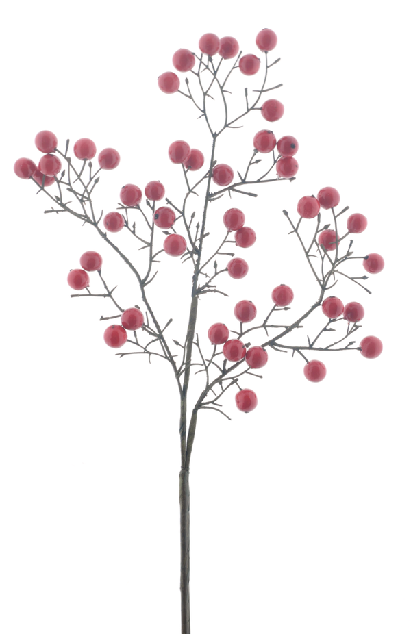 Sweet Berry Rood
