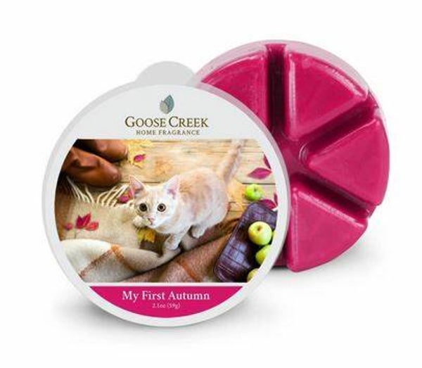 My First Autumn Waxmelt