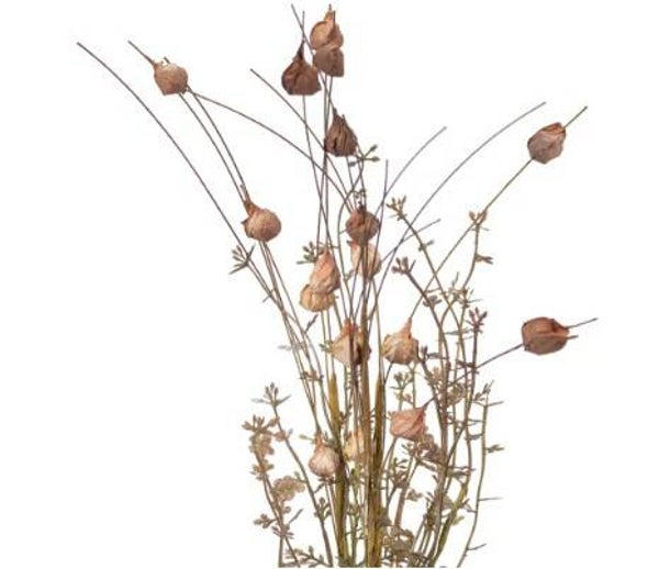 Bloem oud paars