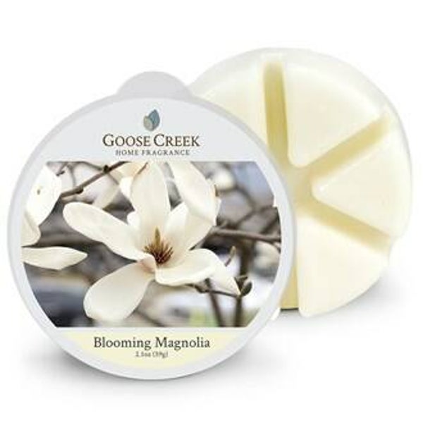 Blooming Magnolia Waxmelt