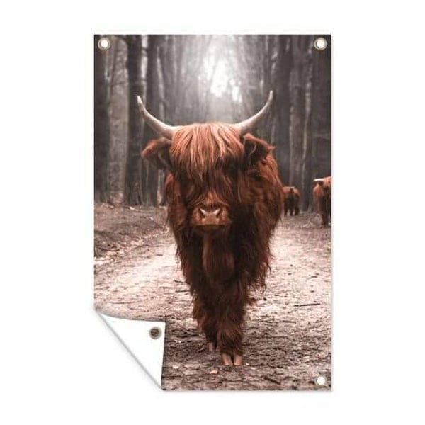 Tuinposter Schotse Hooglander