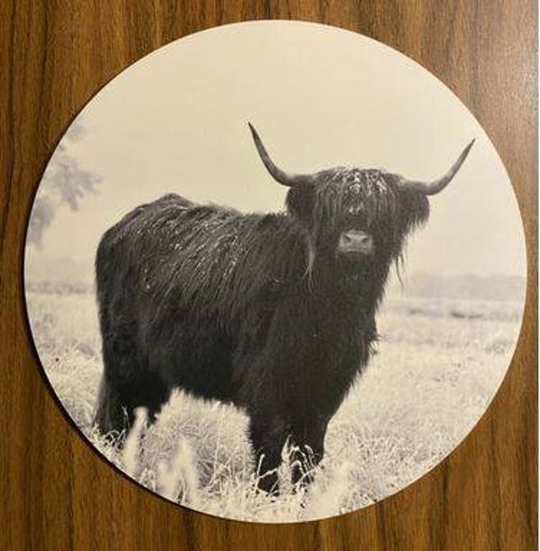 Schotse Hooglander Muurcirkel