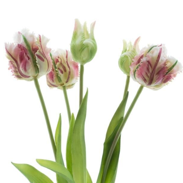 Real Touch Parrot Tulp Pink