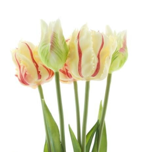 Real Touch Parrot Tulp Red