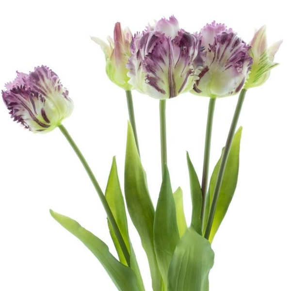 Real Touch Parrot Tulp Purple