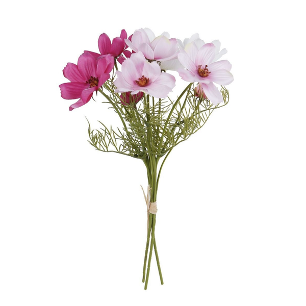 Cosmos wit/roze