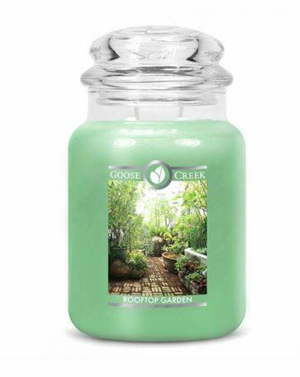 Rooftop Garden Large Jar