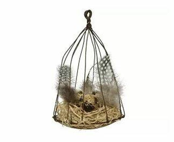 Vogelkooi met veren en eitje