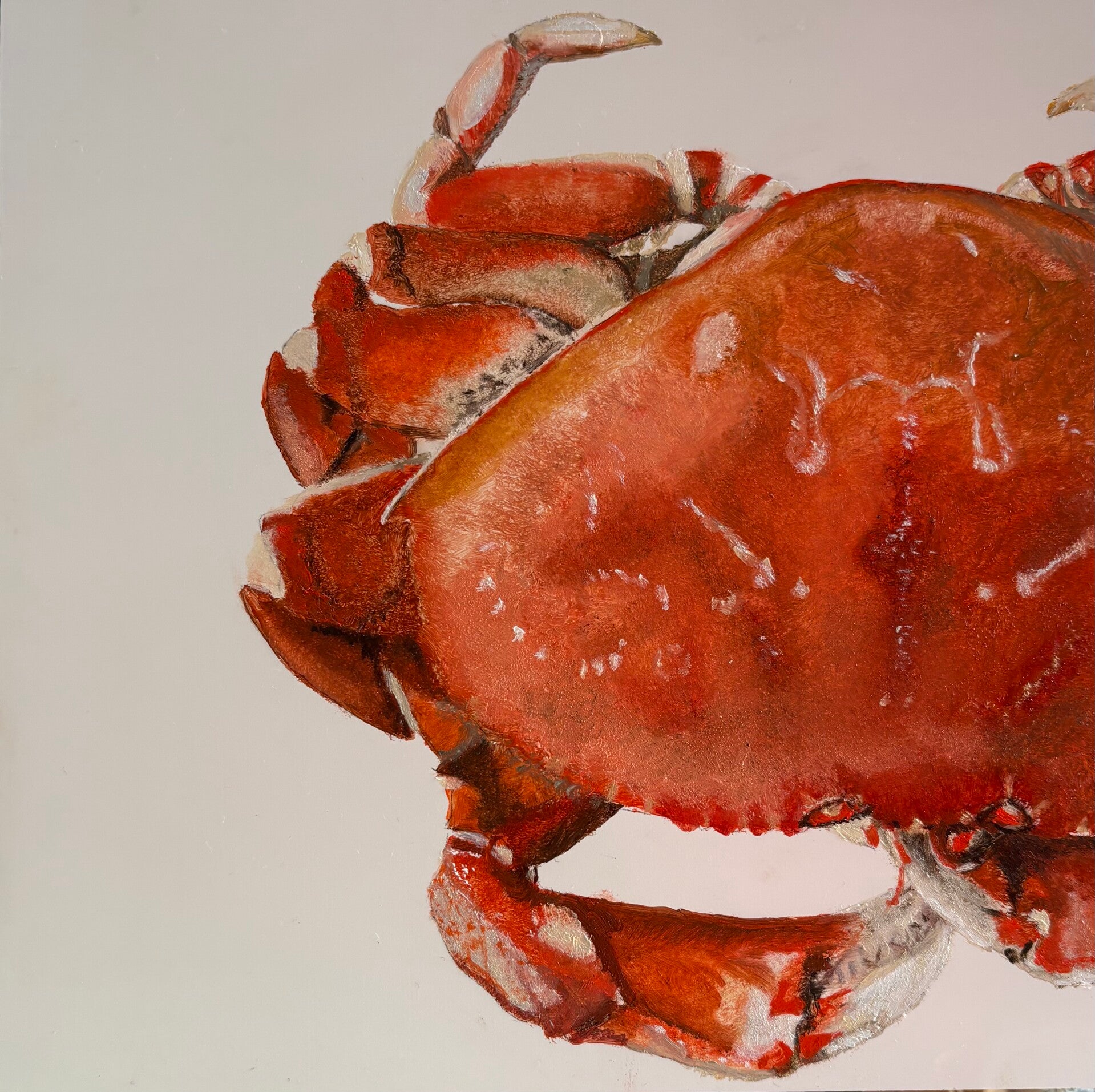 Krab