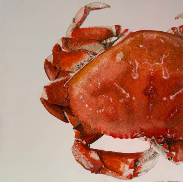 Krab