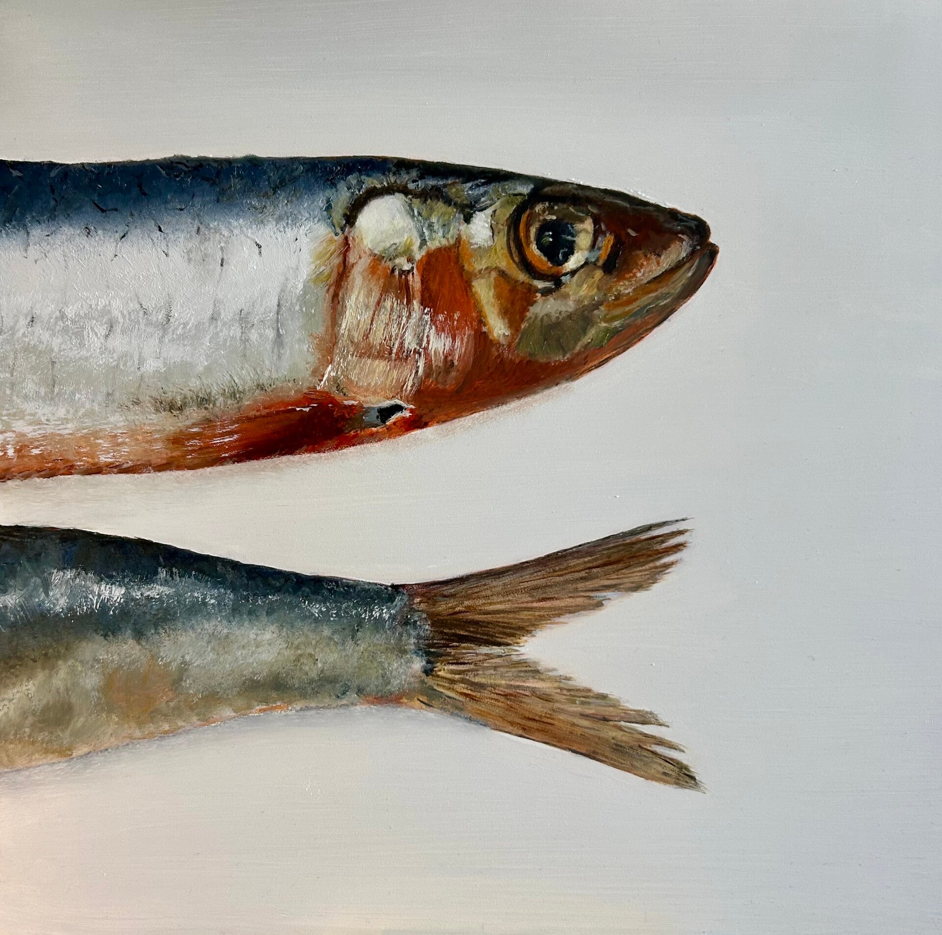 Sardines