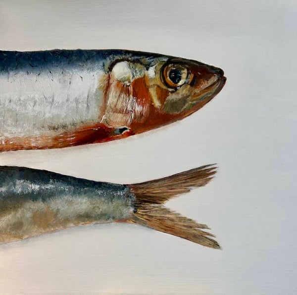 Sardines
