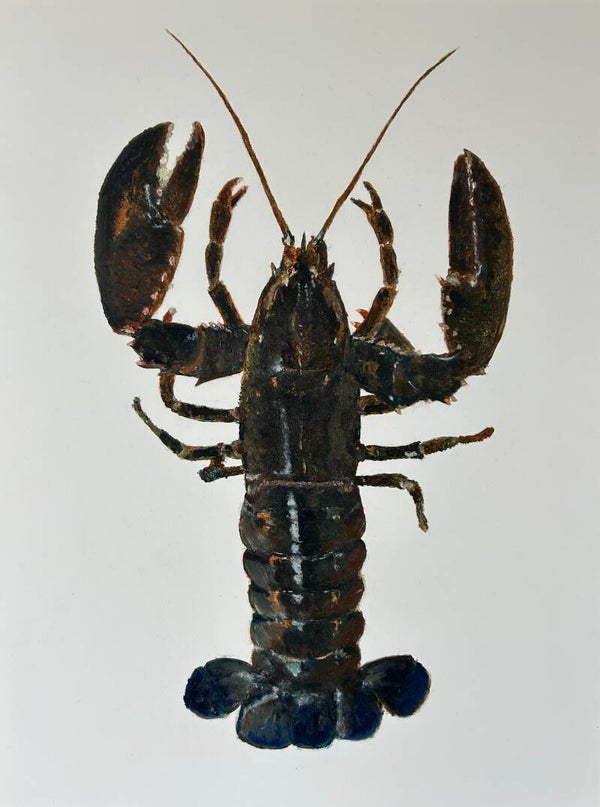 Oosterscheldekreeft
