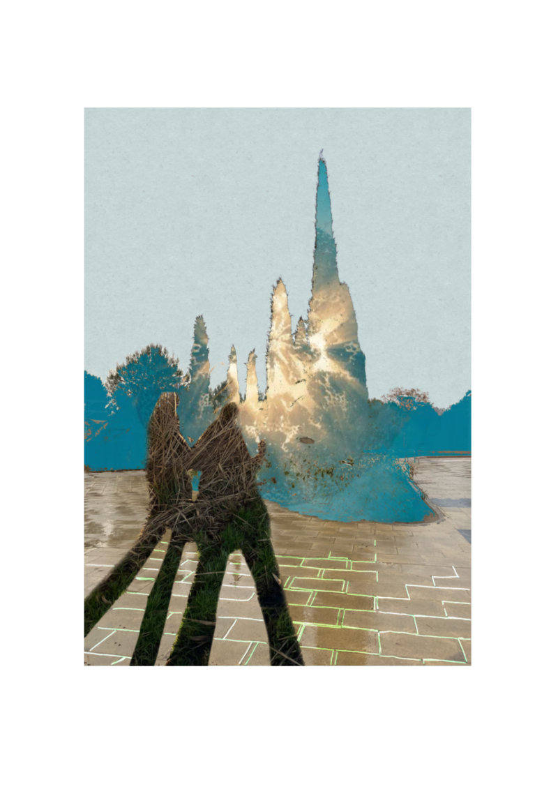 Collage Trees of Madrid