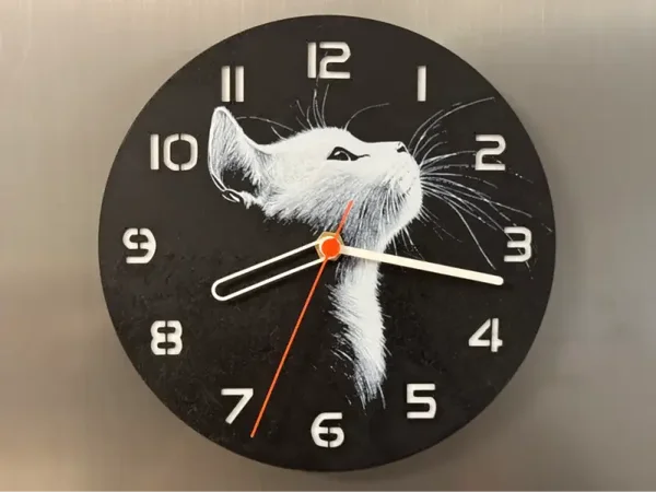Weiße Katze