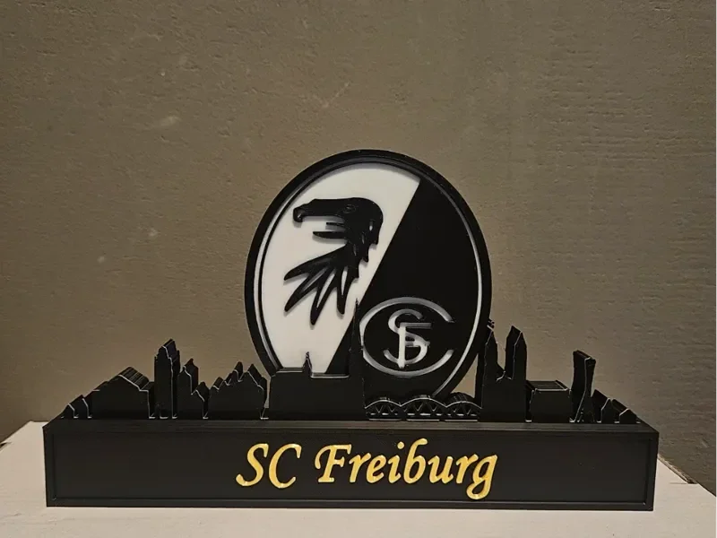 SC Freiburg with skyline of Freiburg