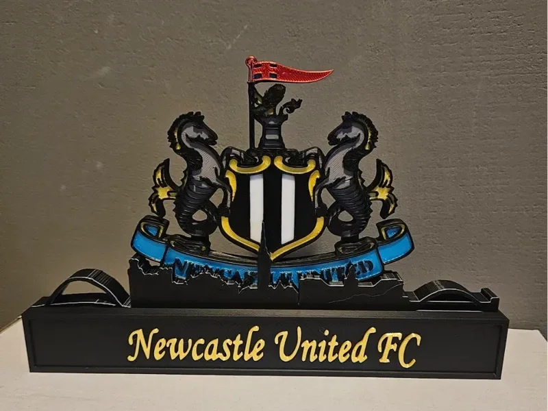 Newcastle United mit der Skyline