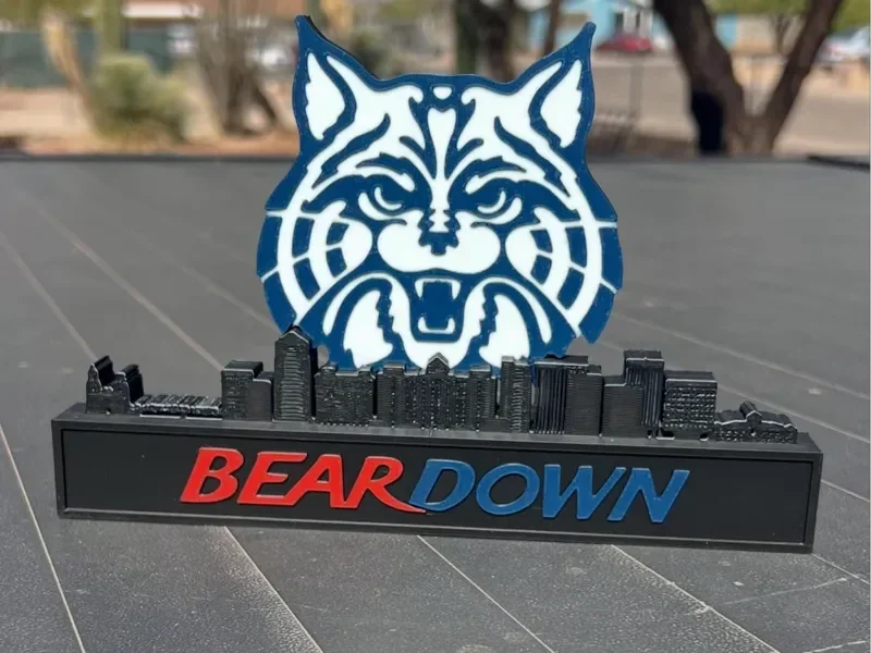 Universität Arizona mit Skyline BEAR DOWN
