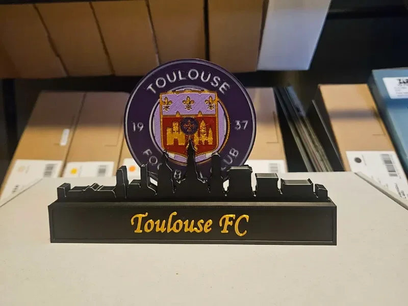 Toulouse FC mit Skyline von Toulouse