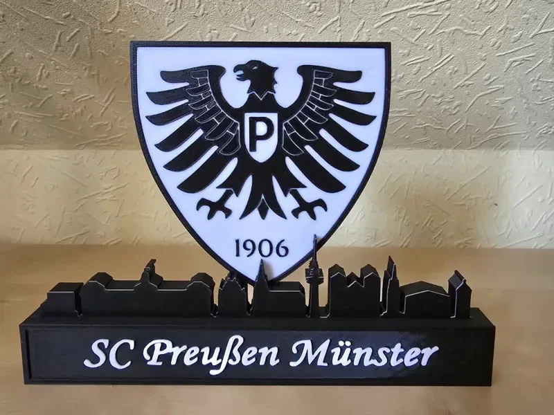 SC pruessen with skyline of Munster