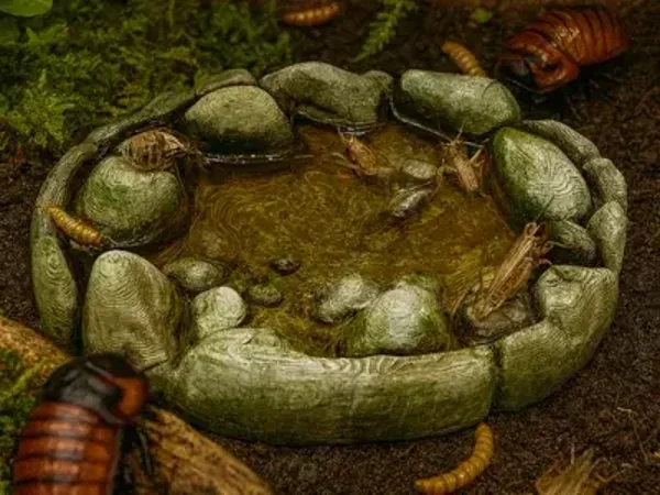 Wasserschale Flach 2