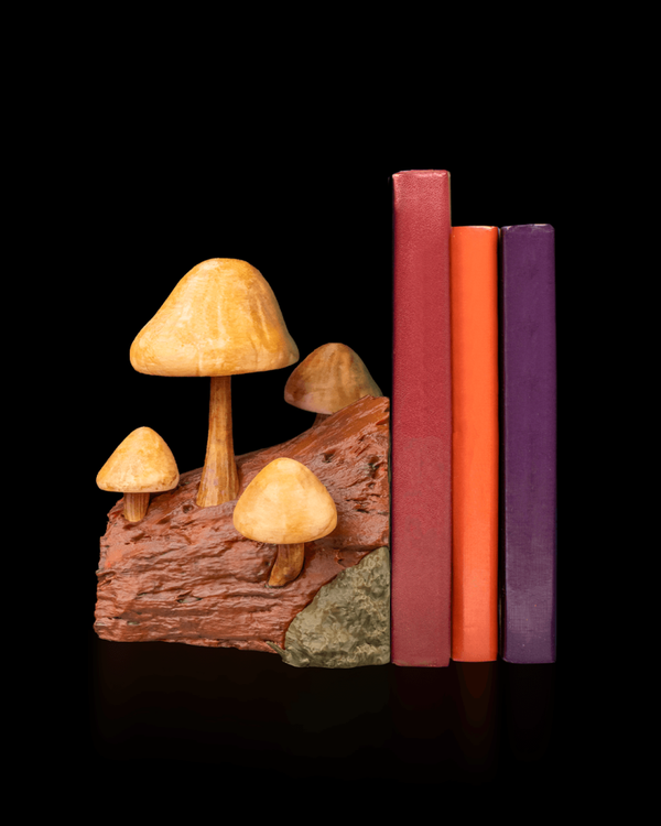 Pilze buchen - Buchstütze