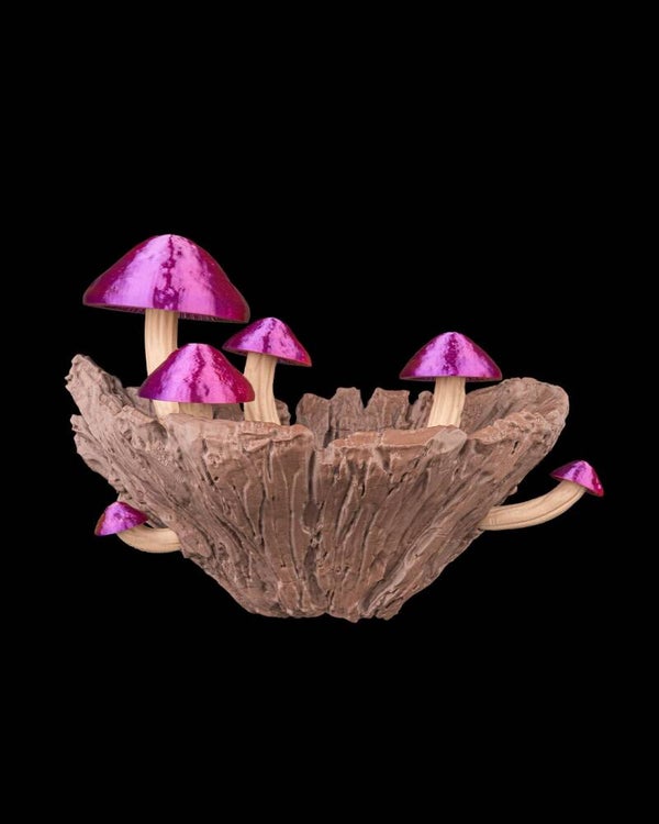 Flora Spore - Wandpflanzen