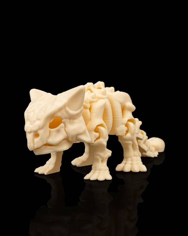 Skelett Ankylosaurus