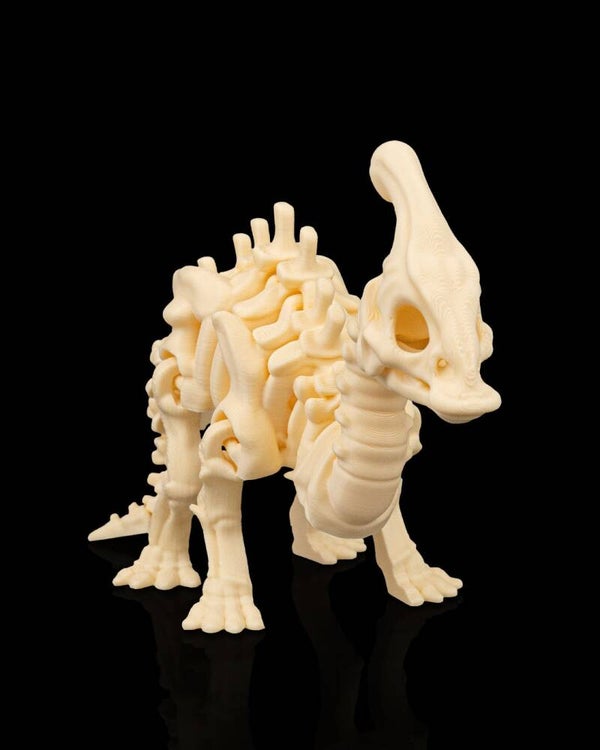 Skelett Parasaurolophus