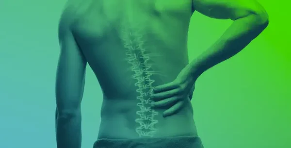 Remise des nerfs , dos …