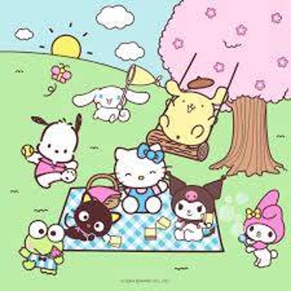 Sanrio Mystery Pakket