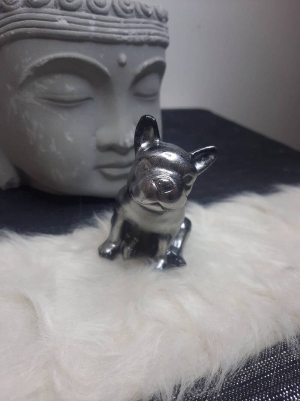 Bouledogue argenté