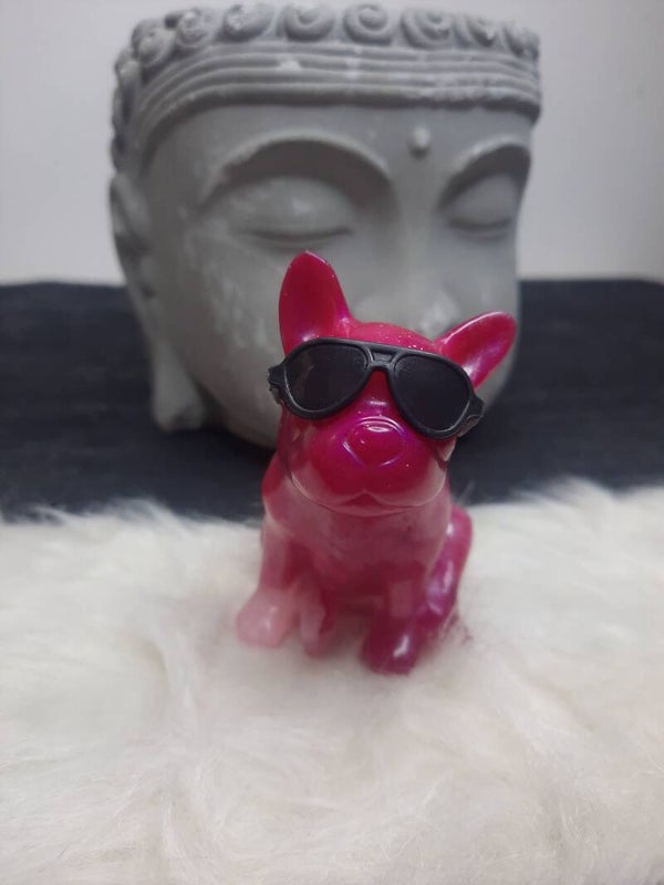 Bouledogue rose et blanc avec lunettes