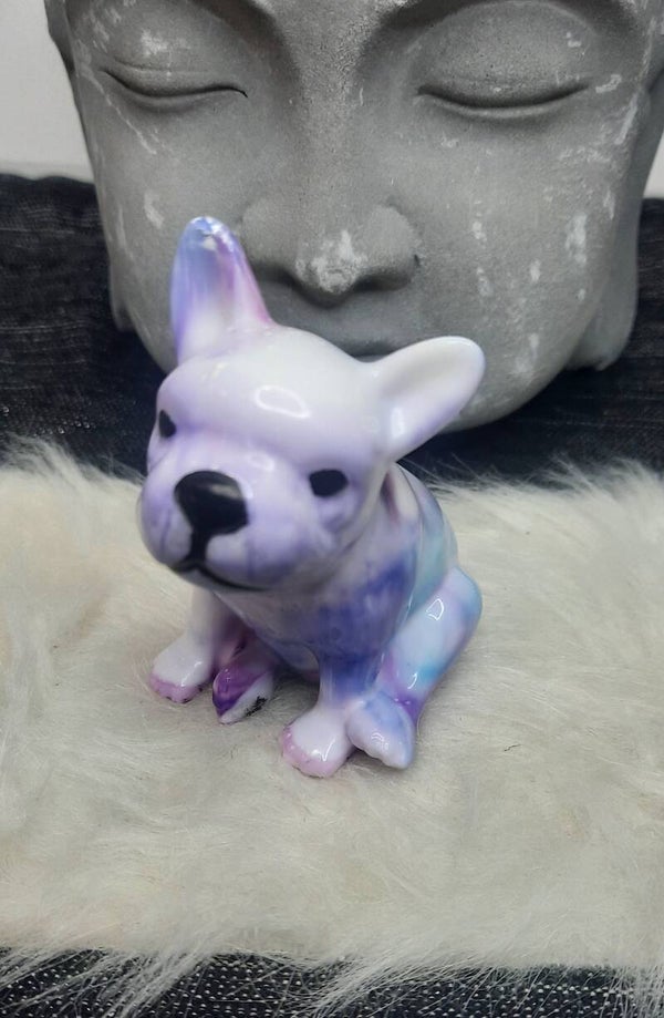 Bouledogue bleu/blanc/violet