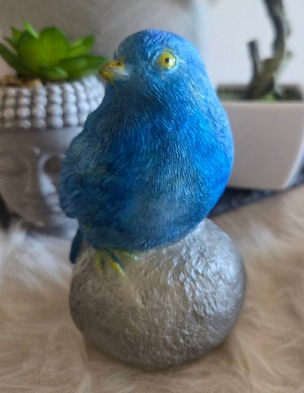 oiseau bleu sur rocher