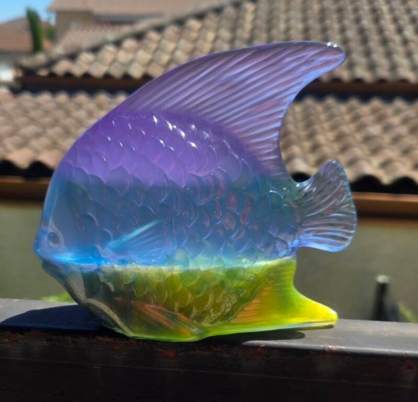 poisson base bkeu/vert /jaune