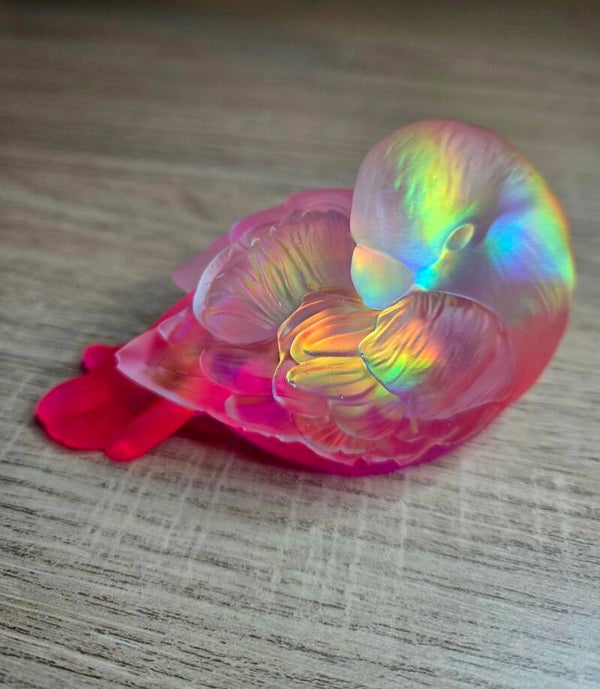 Oiseau arc en ciel/  rose