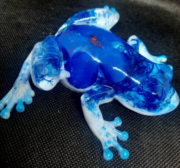 grenouille phosphorescente 1