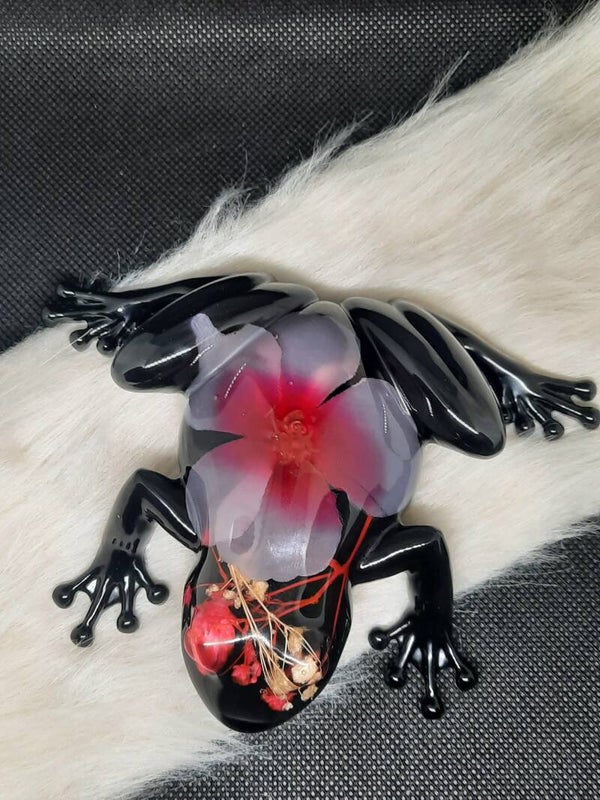 grenouille 4