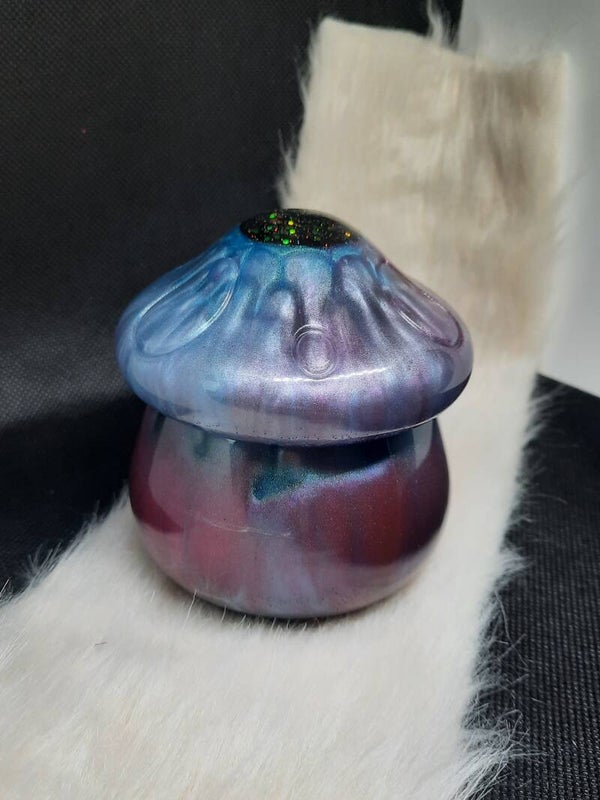 champignon violet/bleu