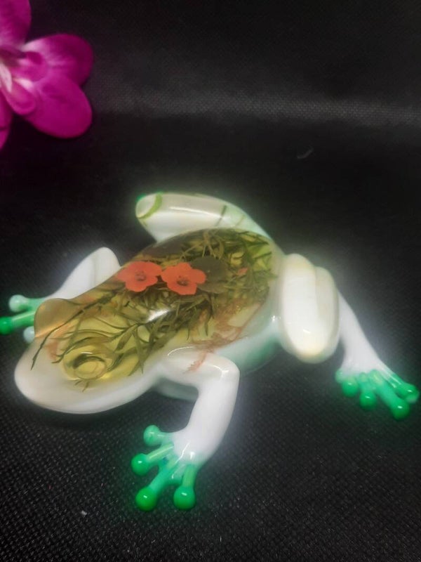 grenouille 8