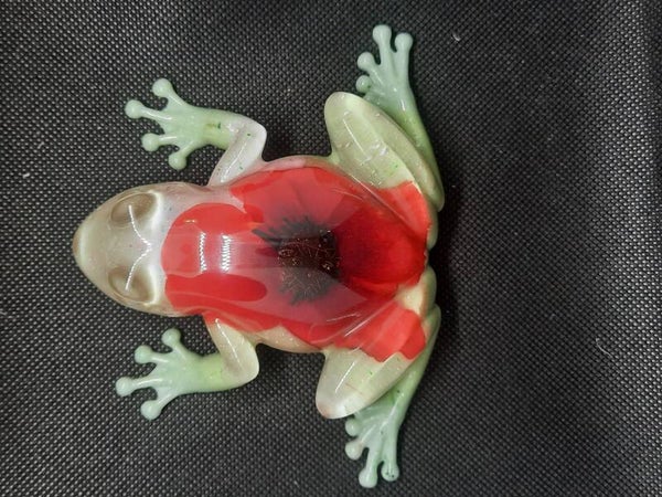 grenouille 5