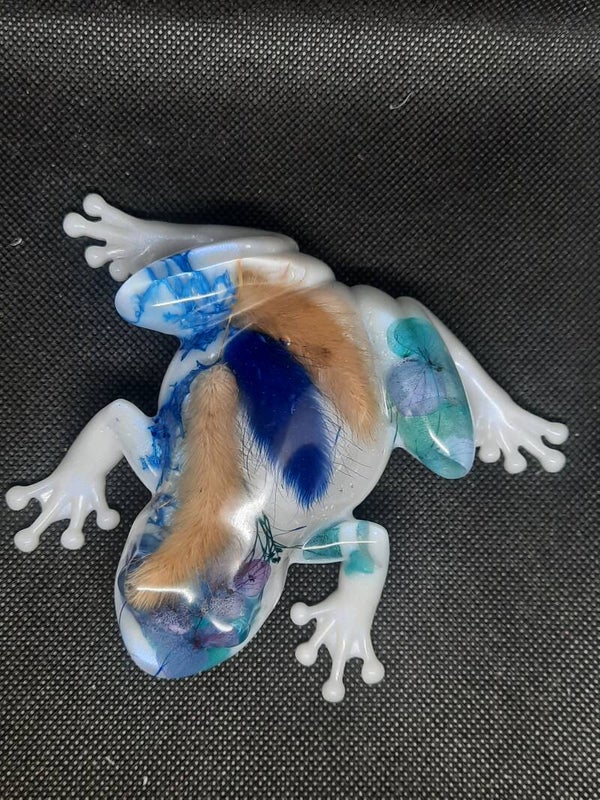 Grenouille 5