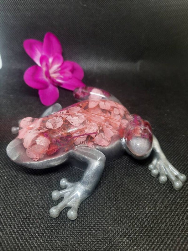 Grenouille 14