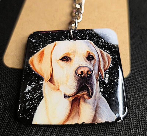 Labrador sur fond noir et blanc