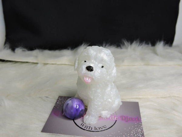 Chien blanc  avec sa balle
