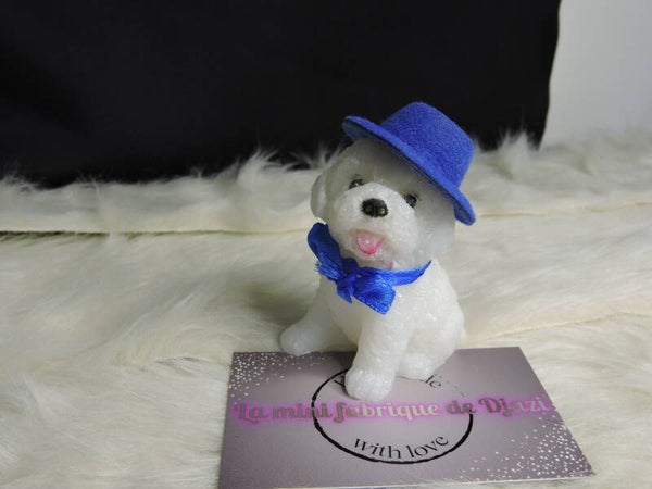 chien blanc avec chapeau et noeud bleu