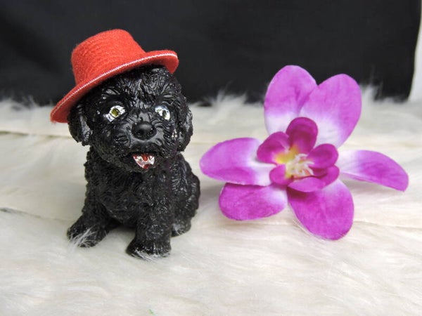 chien noir avec chapeau rouge